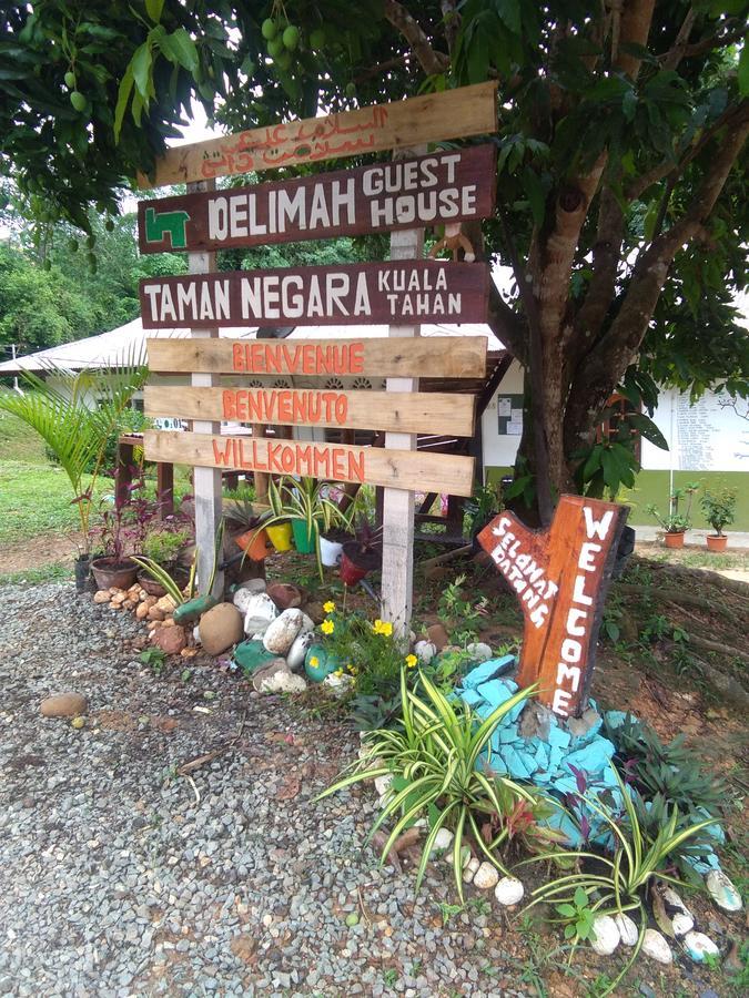 Delimah Guesthouse Kuala Tahan Exterior foto