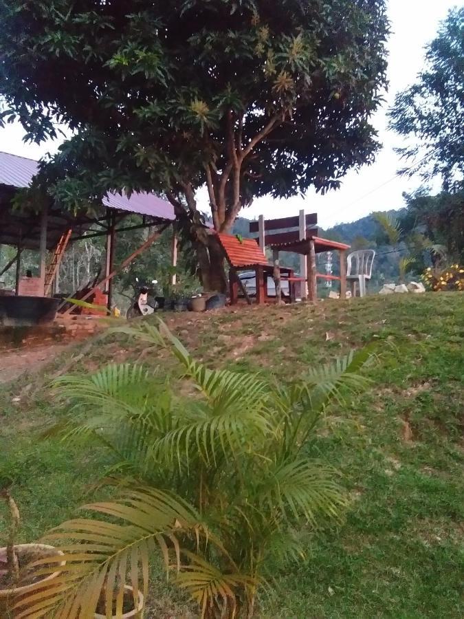 Delimah Guesthouse Kuala Tahan Zimmer foto